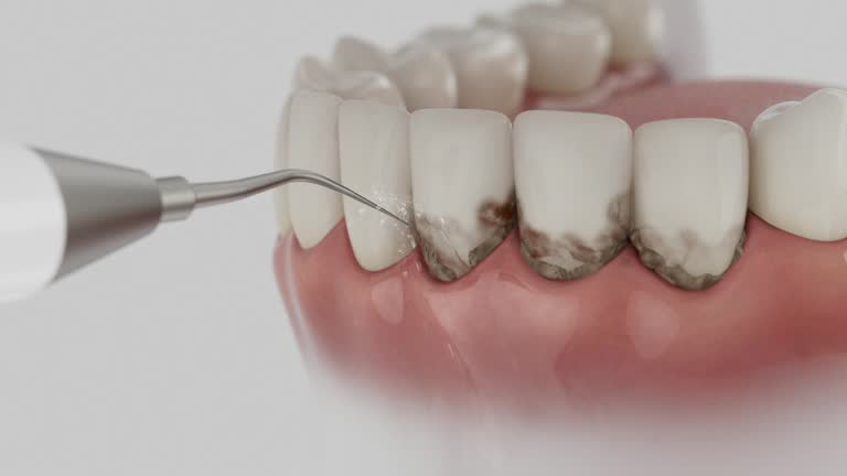 Reliable Dental contractor in Ecru, MS by Dentist Open Now